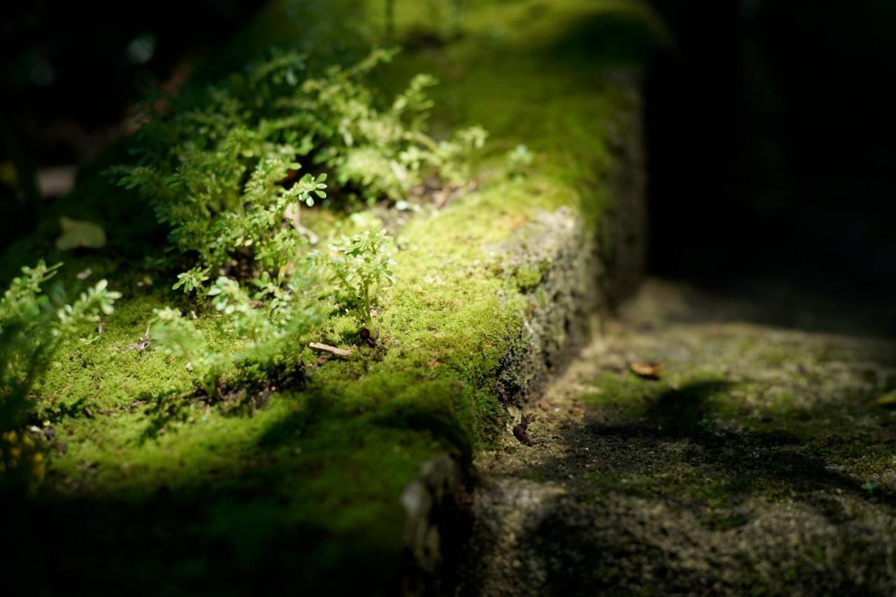 Villa Sachiibaru Nanjo Buitenkant foto